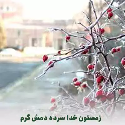 مهدی مجتبایی زمستونه خدا