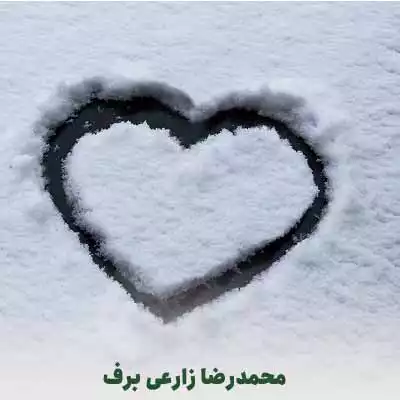 محمدرضا زارعی برف