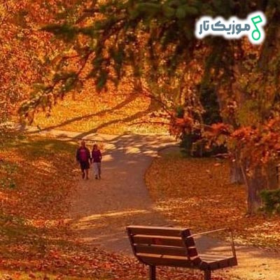 دانلود آهنگ ای باغبان علیرضا قربانی + پخش آنلاین