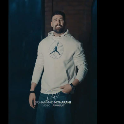 دانلود آهنگ محمد محرمی دیدی میگفتم بهت