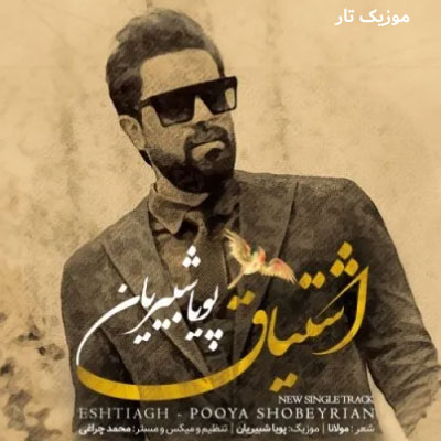 دانلود آهنگ پویا شبیریان اشتیاقی که به دیدار تو دارد دل من