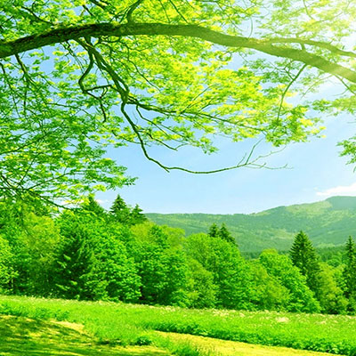دانلود آهنگ محمد کرم زاده یه چند وقته که از قلبم جدایی