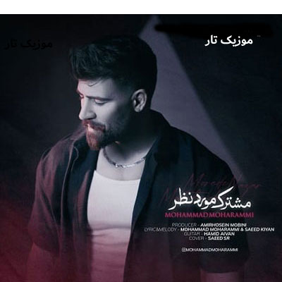 دانلود آهنگ محمد محرمی تو تنهاترین مشترک‌ مورد نظرمی