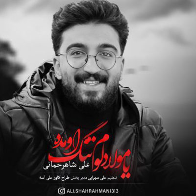 دانلود آهنگ علی شاهرحمانی دیوانه شدی دیدن یار آمده ای