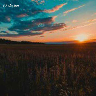 دانلود آهنگ محسن چاوشی خواب دیدم توی دشت از نعنا