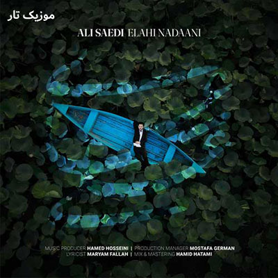 دانلود آهنگ علی ساعی الهی ندانی چه بر من گذشت