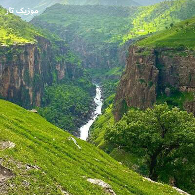 دانلود آهنگ علی رحیمی ای بو بو بو هیکل میل برنو دانلود آهنگ علی رحیمی ای بو بو بو هیکل میل برنو