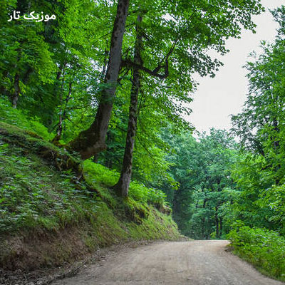 دانلود آهنگ شاین دمق شدم و کم حرف شدم