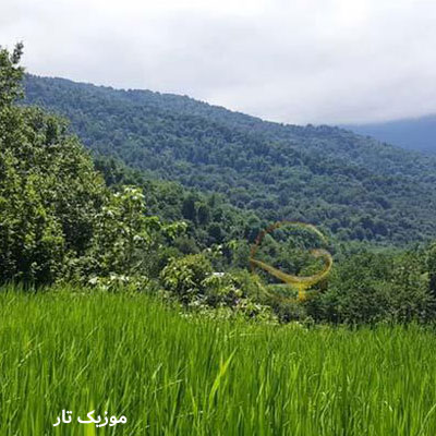 دانلود آهنگ لری ترسم وینه دلم بیوم دلته نیی وم