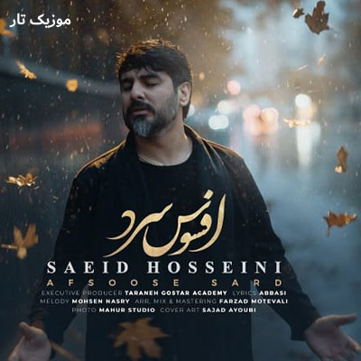 دانلود آهنگ سعید حسینی افسوس