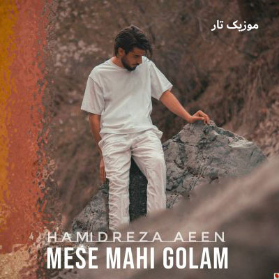 دانلود آهنگ حمیدرضا آیین مثه ماهی گلم