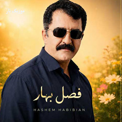 دانلود آهنگ هاشم حبیبیان فصل گل از راه رسید والا نادل گرونم