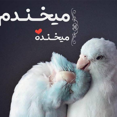 دانلود آهنگ تو که ناز دوست داری میخوای برات ناز کنم